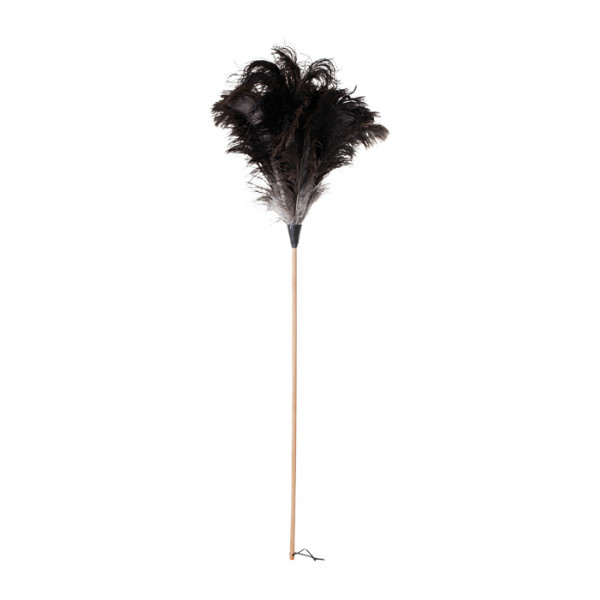 Ostrich feather duster untreated wooden handle